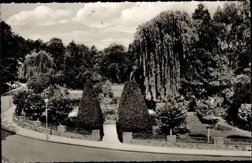 Ak Witzenhausen an der Werra Hessen, Parkanlagen