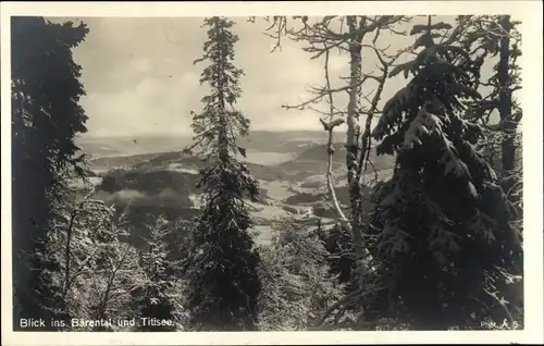 Ak Feldberg im Schwarzwald, Feldbergerhof, Bärental, Titisee