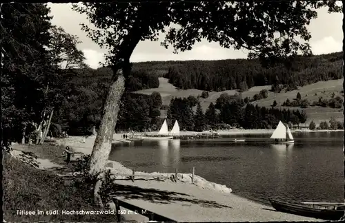 Ak Titisee Neustadt im Breisgau Hochschwarzwald, Segelboote