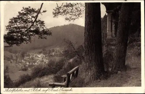 Ak Bad Teinach Zavelstein im Schwarzwald, Blick von der Adolfshöhe