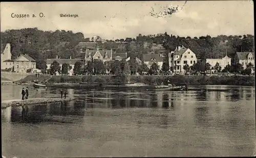 Ak Krosno Odrzańskie Crossen Oder Ostbrandenburg, Weinberge