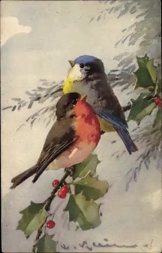 Künstler Ak Klein, C., Vögel am Baumzweig, Stechpalme