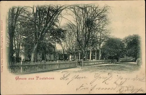 Ak Berlin Zehlendorf Dahlem, Paulsborn, Straßenpartie