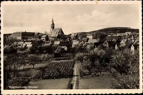 Ak Wechselburg in Sachsen, Gesamtansicht