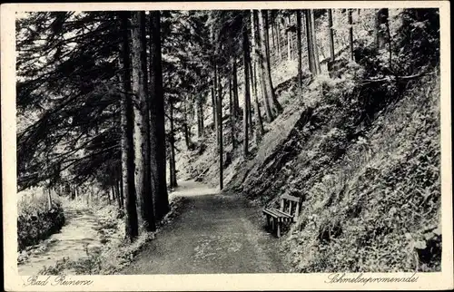 Ak Duszniki Zdrój Bad Reinerz Schlesien, Schmelzepromenade
