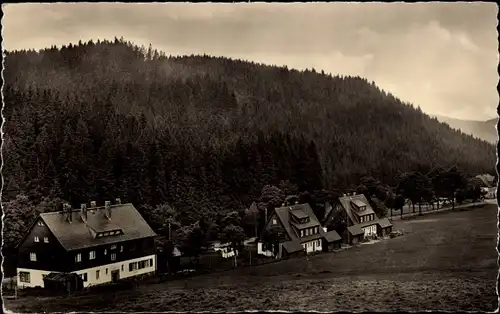 Ak Oberwildenthal Wildenthal Eibenstock im Erzgebirge, Teilansicht