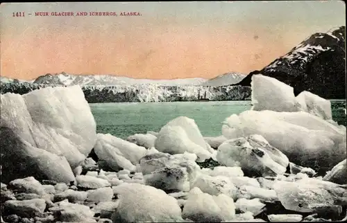 Ak Alaska, Muir Glacier, Icebergs