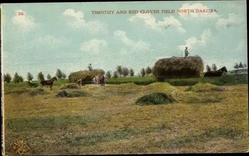 Ak North Dakota, Timothy and Red Clover Field