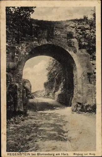 Ak Blankenburg am Harz, Burg Regenstein, Eingang