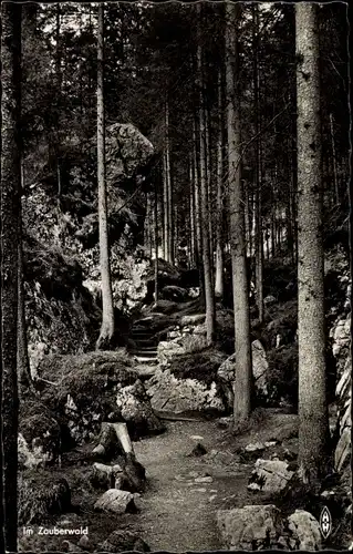 Ak Ramsau im Berchtesgadener Land Oberbayern, Zauberwald