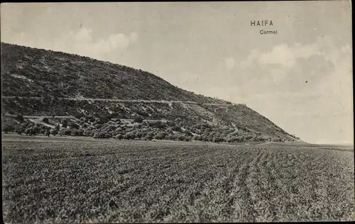 Ak Haifa Israel, Karmel, Landschaft