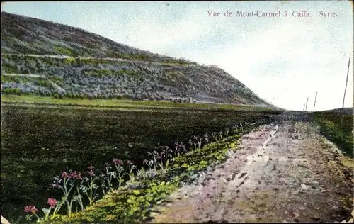 Ak Tel Aviv Jaffa Israel, Blick auf den Berg Karmel