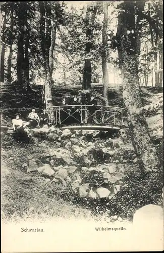 Ak Bad Schwartau in Holstein, Wilhelmsquelle