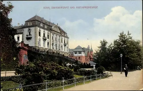 Ak Bonn am Rhein, Oberbergamt, Rheinpromenade