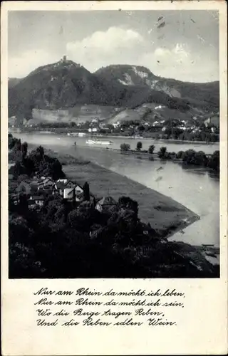 Ak Königswinter am Rhein, Drachenfels, Panorama