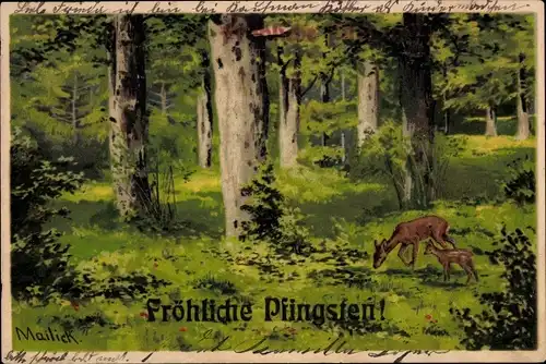 Künstler Litho Mailick, Glückwunsch Pfingsten, Rehe im Wald