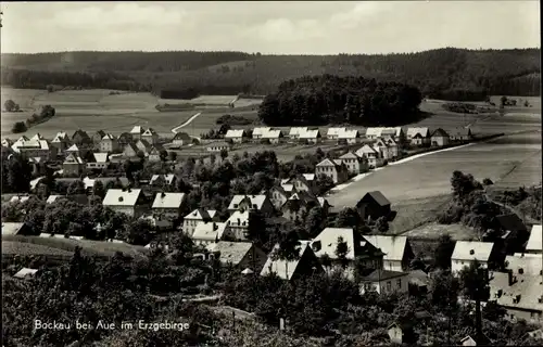 Ak Bockau im Erzgebirge, Teilansicht, Wohnsiedlung