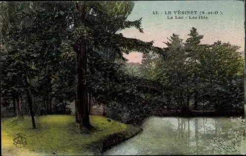 Ak Le Vésinet Yvelines, Le Lac, Les ibis