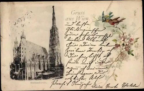Ak Wien 1 Innere Stadt, Stefanskirche, Passepartout, Vögel, Blüten