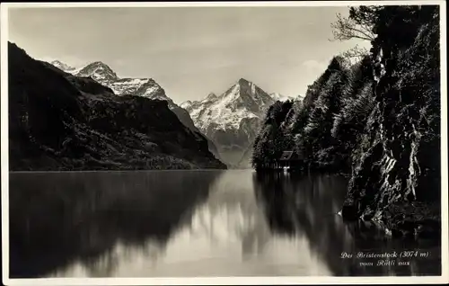 Ak Rütli Seelisberg Kanton Uri, Panorama