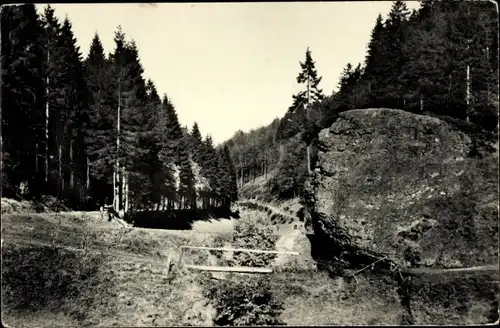 Ak Fehrenbach Masserberg in Thüringen, Wald, Fehrenbacher Schweiz