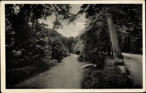 Ak Schwarzburg in Thüringen, Schwarzatal beim Schweizerhaus