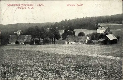 Ak Forst Bad Brambach im Vogtland, Gesamtansicht