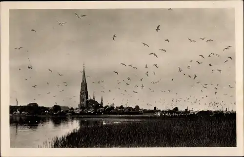 Ak Schönhagen Brodersby an der Ostsee, Dom
