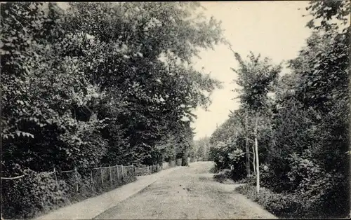 Ak Sielbeck Eutin in Ostholstein, Straßenpartie