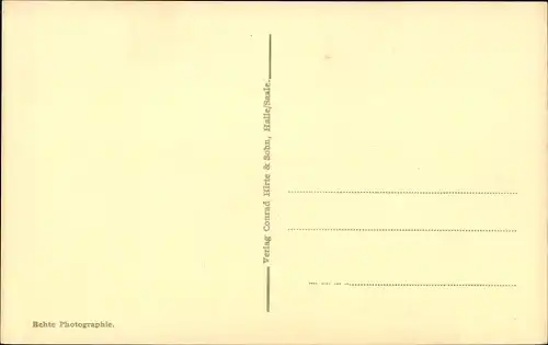 Ak Halle Saale, Totalansicht, Trothaer Felsen