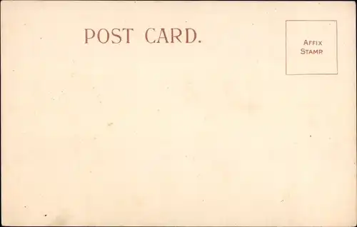 Ak Prinz und Prinzessin von Wales, Britische Fahne, Löwe, Wappen