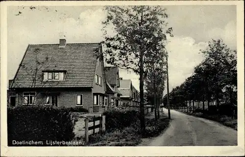 Ak Doetinchem Gelderland, Lijsterbeslaan