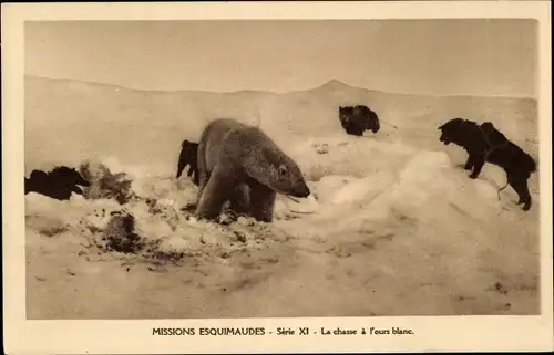 Ak Missions Esquimaudes, Eisbärenjagd