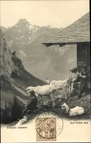 Ak Alpenlandschaft, Auf hoher Alp, Ziegen, Jungen