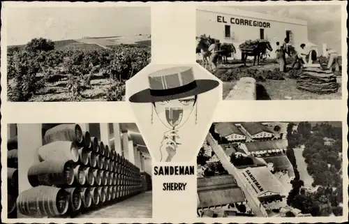 Ak Jerez de la Frontera Andalusien Spanien, Sandeman Vineyards and Bodegas, Sherry