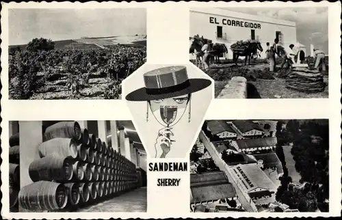 Ak Jerez de la Frontera Andalusien Spanien, Sandeman Vineyards and Bodegas, Sherry