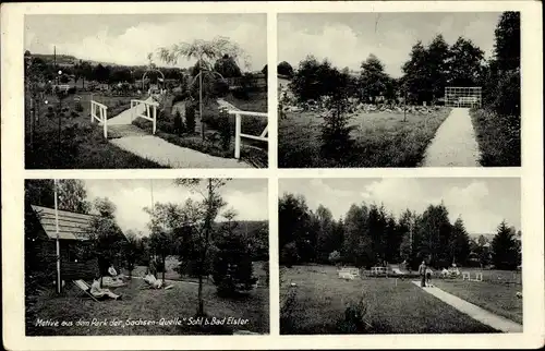 Ak Sohl Bad Elster im Vogtland, Park der Sachsenquelle