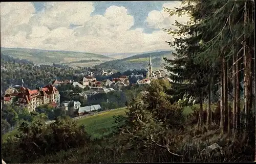 Künstler Ak Bad Elster im Vogtland, Fernblick von Norden