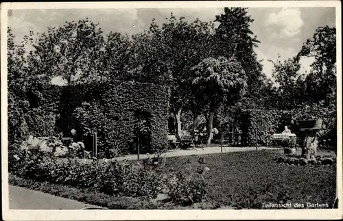 Ak Stenum Ganderkesee Niedersachsen, Garten