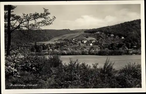 Ak Stecklenberg Thale im Harz, Panorama