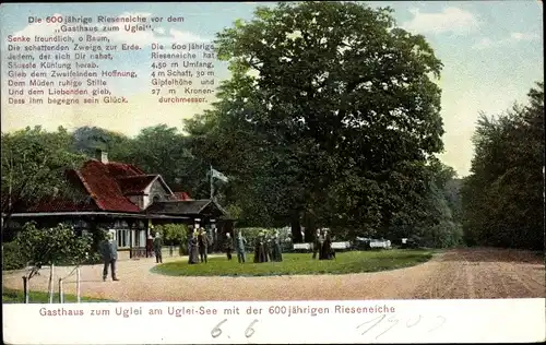 Ak Eutin, Gasthaus zum Uglei, am Uglei See, Straßengabelung mit Passanten, Rieseneiche