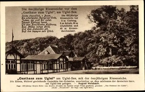 Ak Ukleisee Eutin Schleswig Holstein, Gasthaus zum Uglei, 600j. Rieseneiche, Gedicht