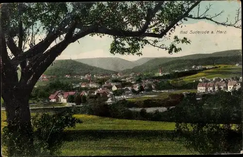 Ak Bad Suderode Quedlinburg im Harz, Gesamtansicht