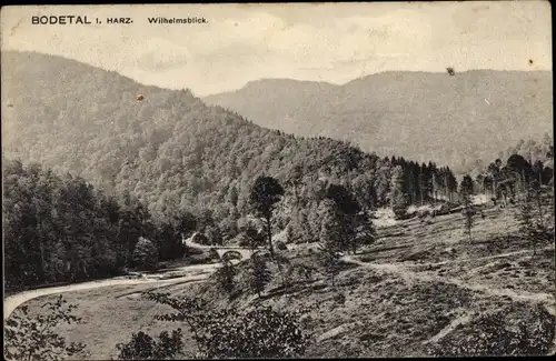 Ak Treseburg Thale im Harz, Bodetal, Wilhelmsblick