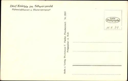 Ak Kniebis Freudenstadt im Schwarzwald, Panorama