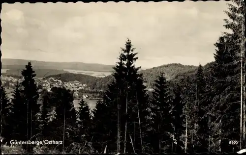 Ak Güntersberge Harzgerode am Harz, Panorama