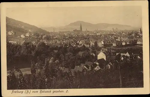 Ak Freiburg im Breisgau, Blick vom Hebsack, Panorama, Münster