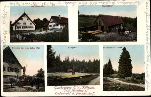 Ak Oedenwald Ödenwald Loßburg im Schwarzwald, Hof Ödenwald, Sägemühle, Brunnen, Holzplatz