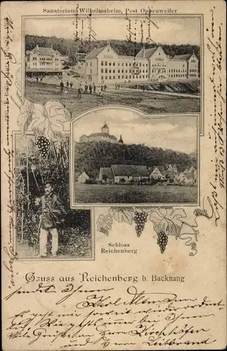 Ak Reichenberg Oppenweiler in Württemberg, Schloss Reichenberg, Sanatorium Wilhelmsheim
