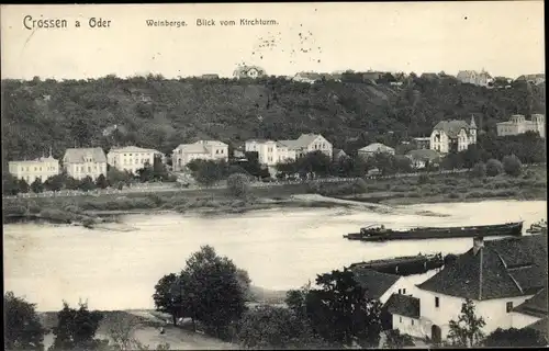 Ak Krosno Odrzańskie Crossen Oder Ostbrandenburg, Weinberge, Blick vom Kirchturm